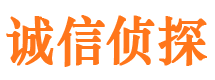 江岸侦探公司